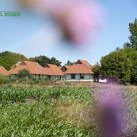 Jugendtours-Feriendorf Ummanz Exterior photo